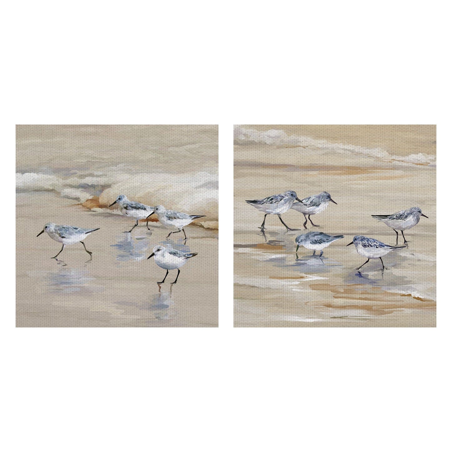 Playa sandpiper en amber - Studio Arts