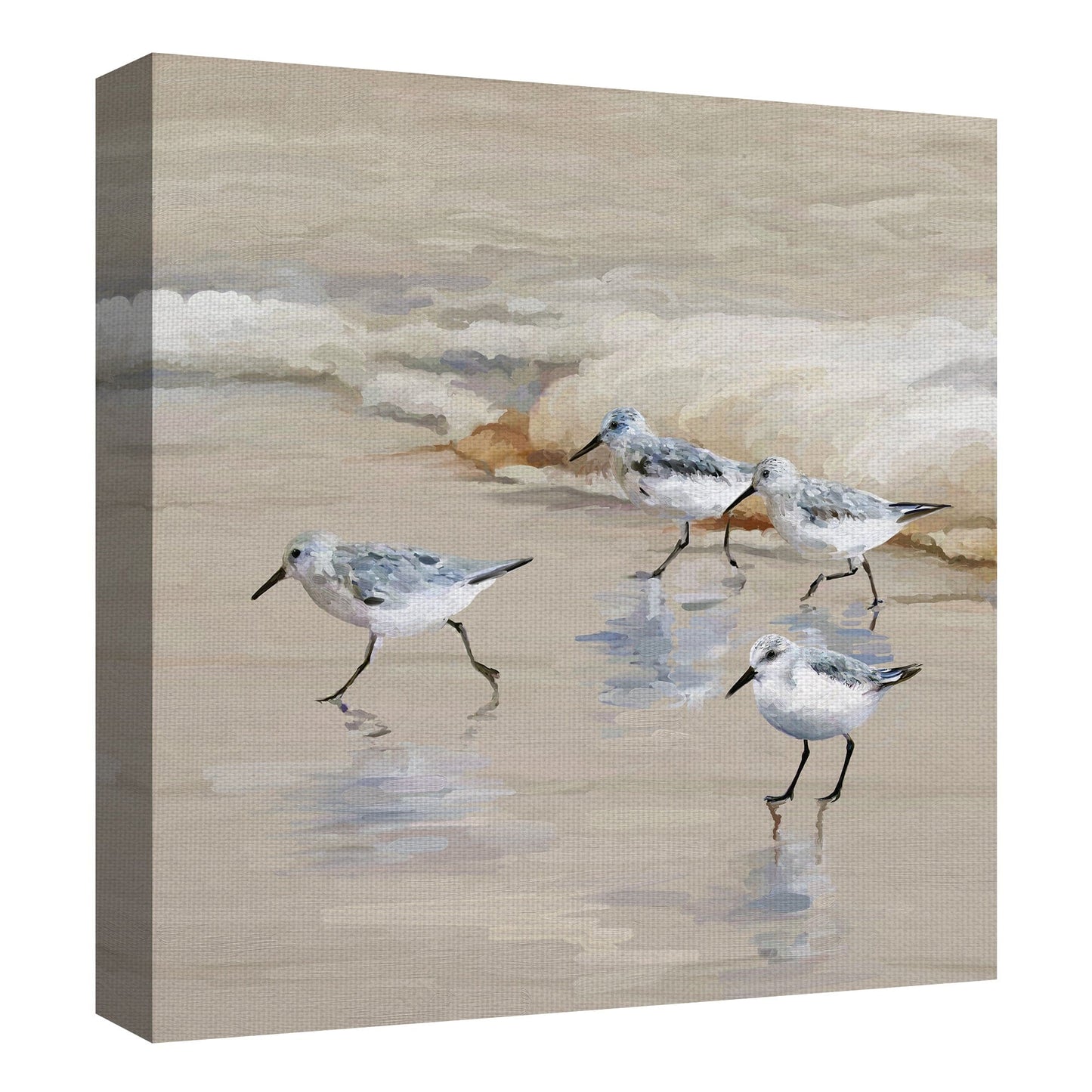 Playa sandpiper en amber - Studio Arts