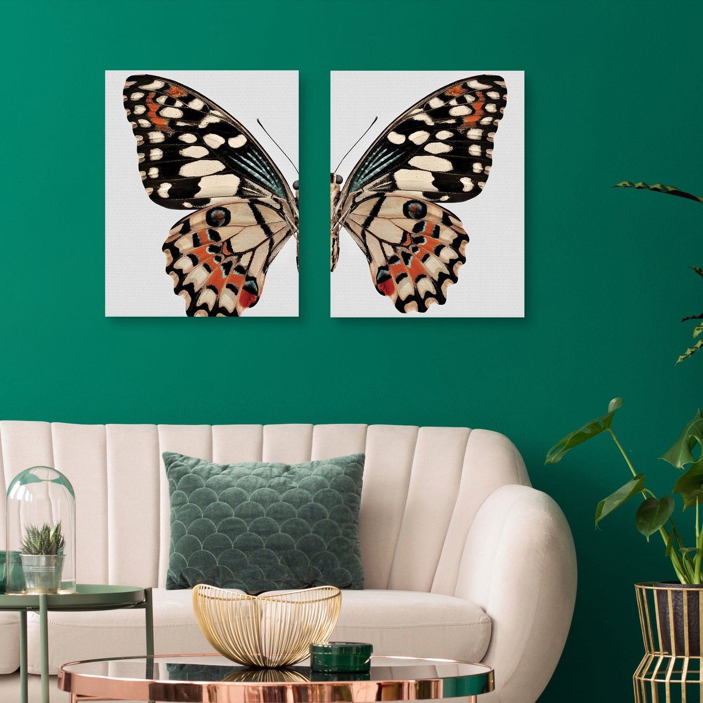 Monarca - Belle Maison