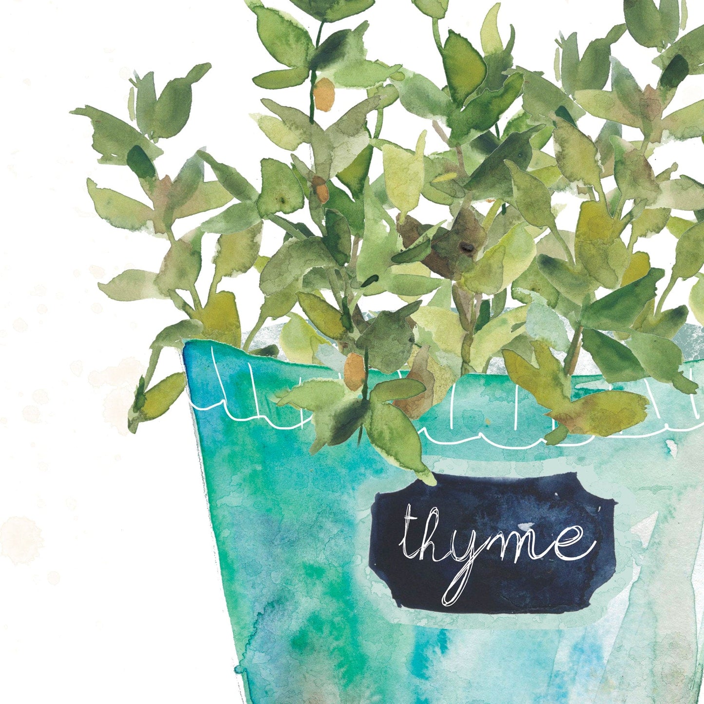 Maceta Romero - Carol Robinson