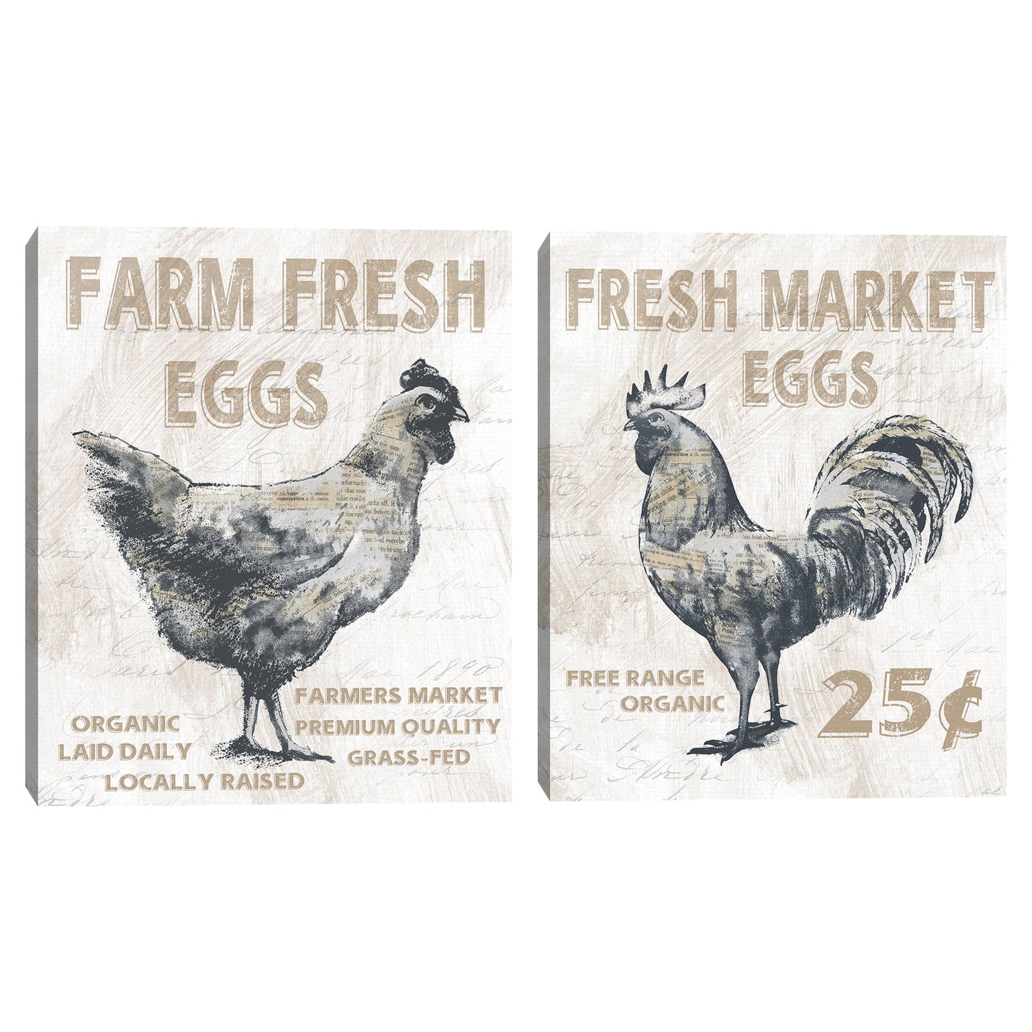 Pollo fresco de granja - Conrad Knutsen