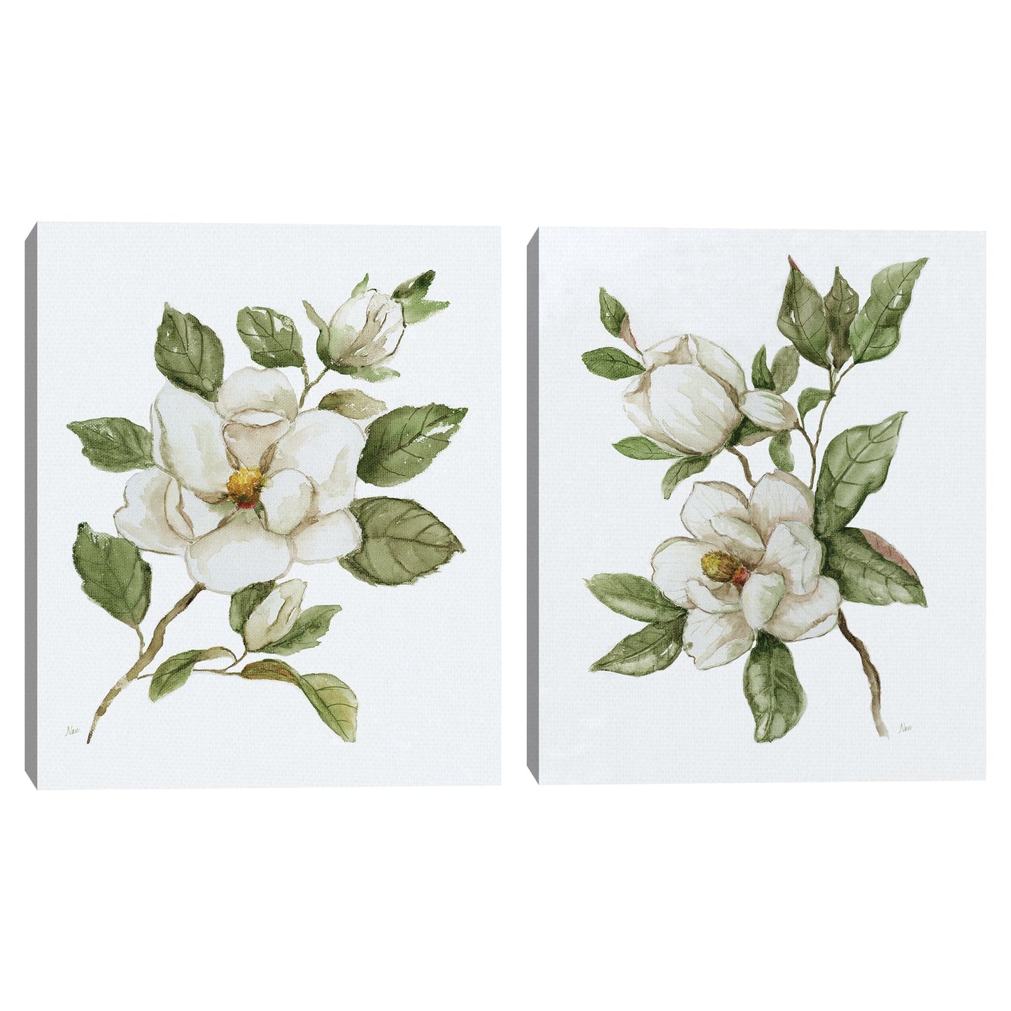 Magnolia mañana I - Nan