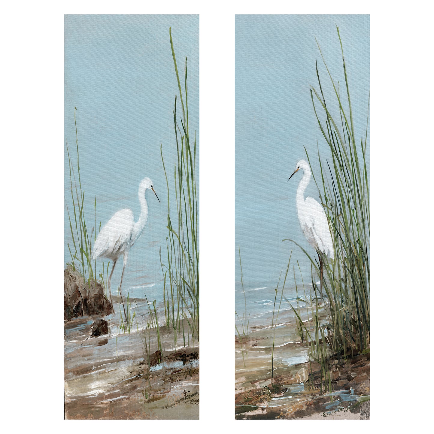 Pájaro playero blanco - Sally Swatland