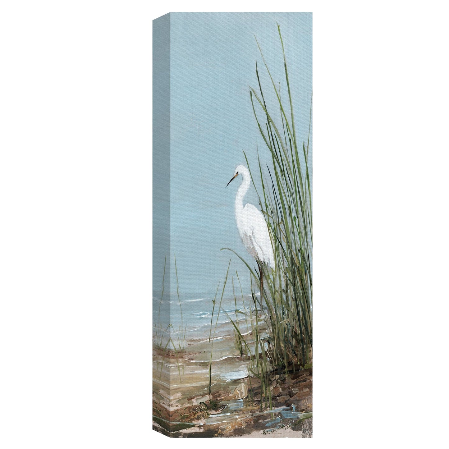 Pájaro playero blanco - Sally Swatland