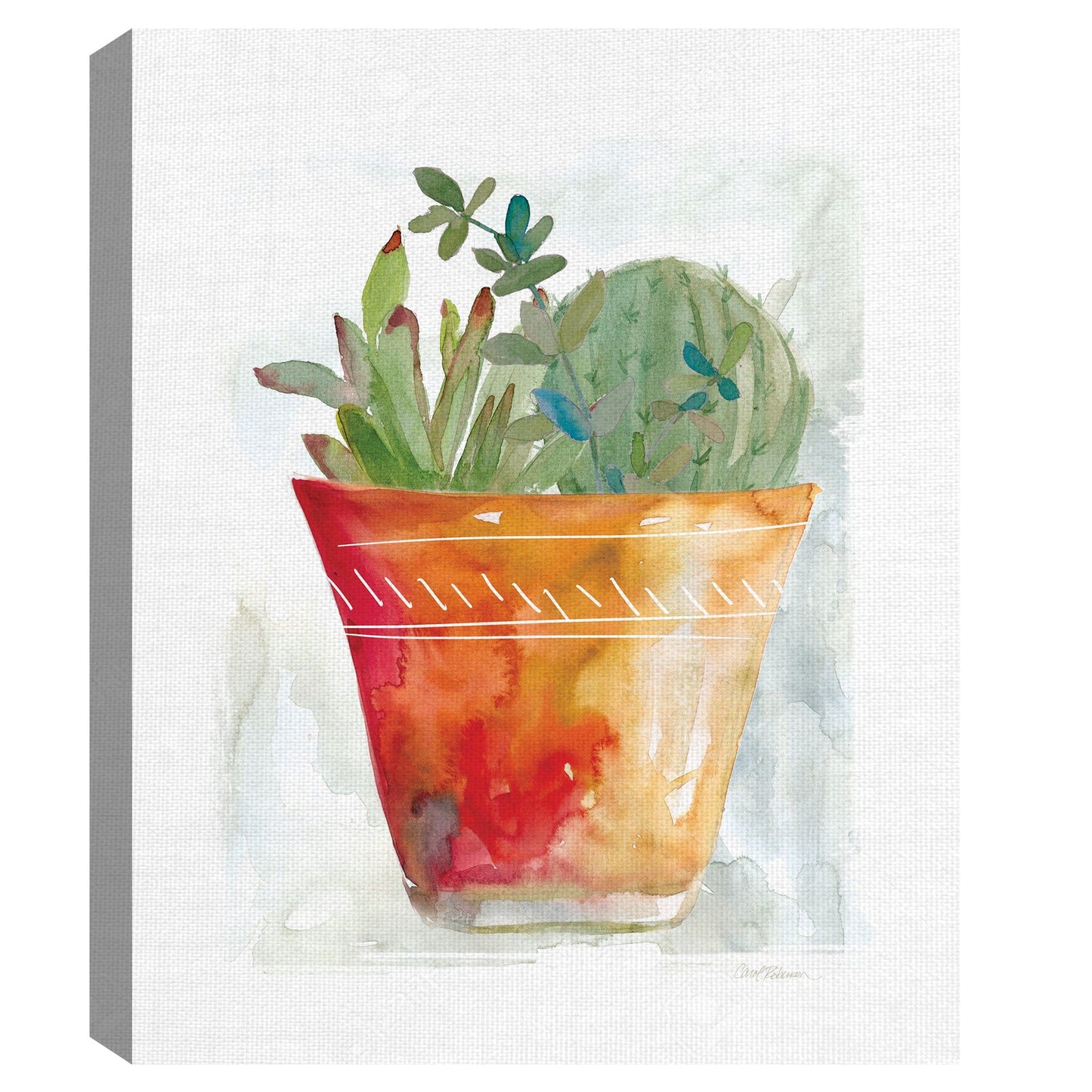 Terracota Cactus - Carol Robinson