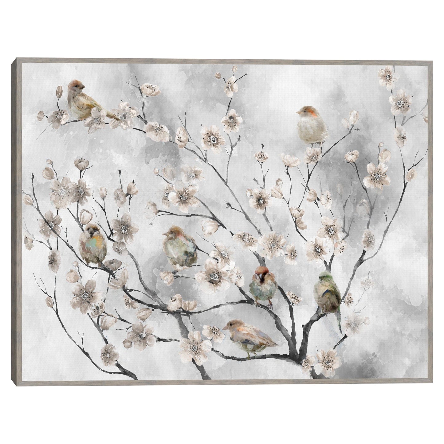 Pájaros de flor de cerezo - Studio Arts