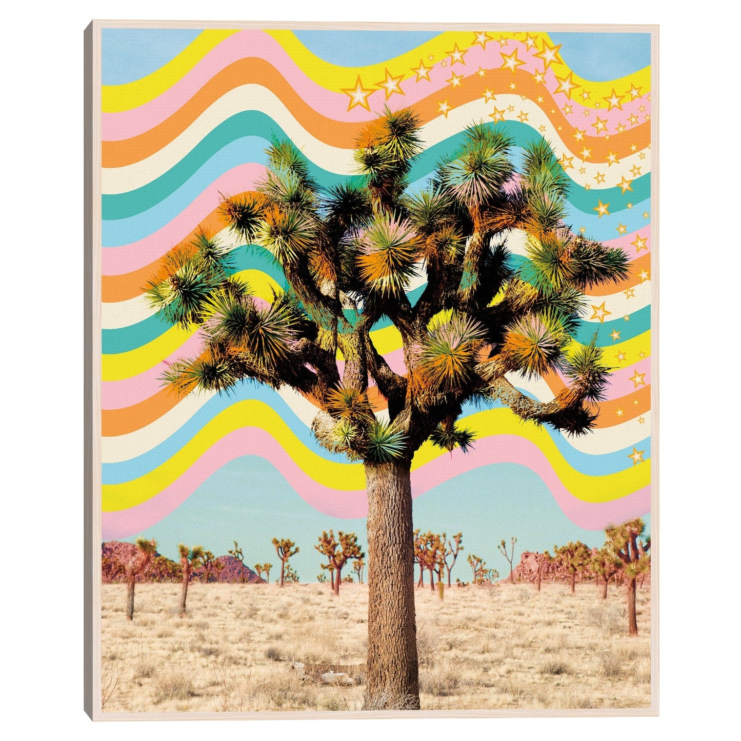 Fantasia Saguaro - Irene Suchocki