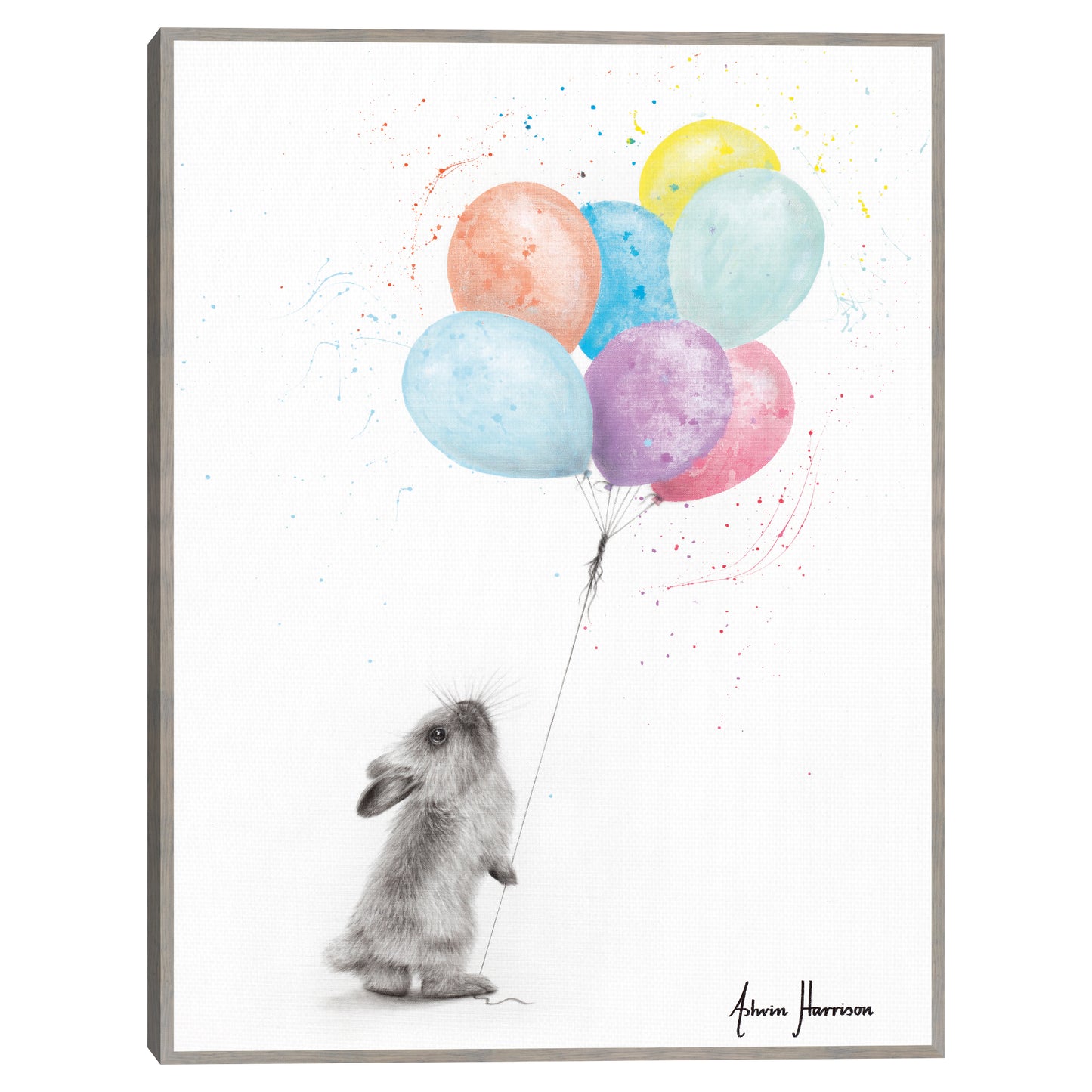 El conejito y los globos - Ashvin Harrison