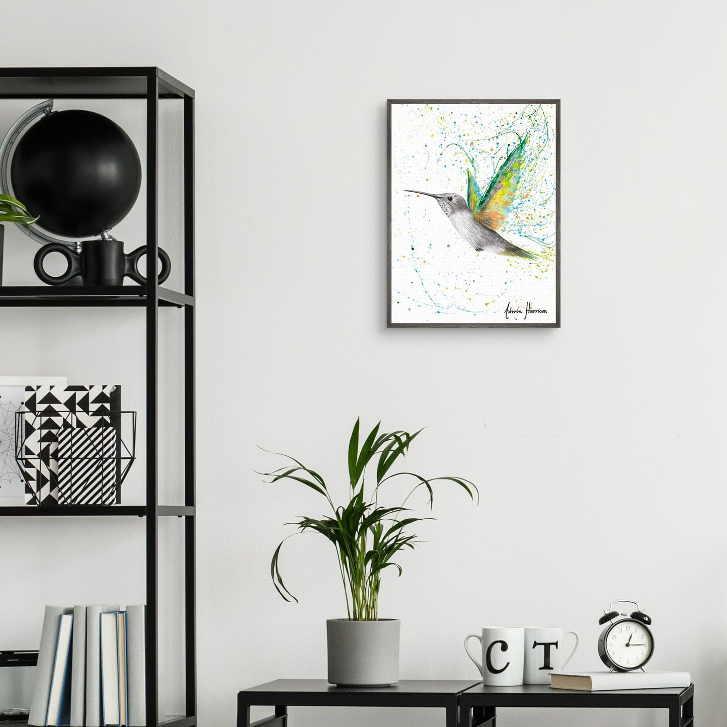 Colibri de verano melocoton - Ashvin Harrison