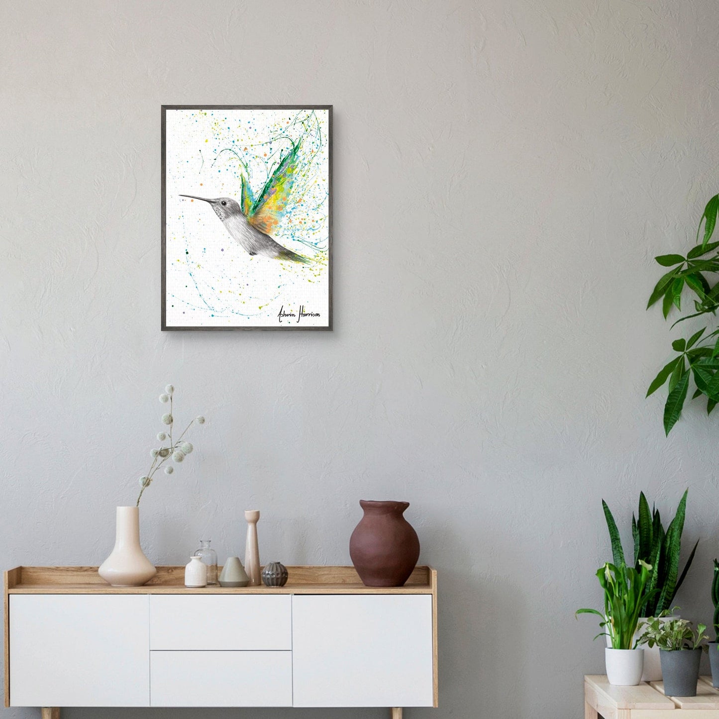 Colibri de verano melocoton - Ashvin Harrison