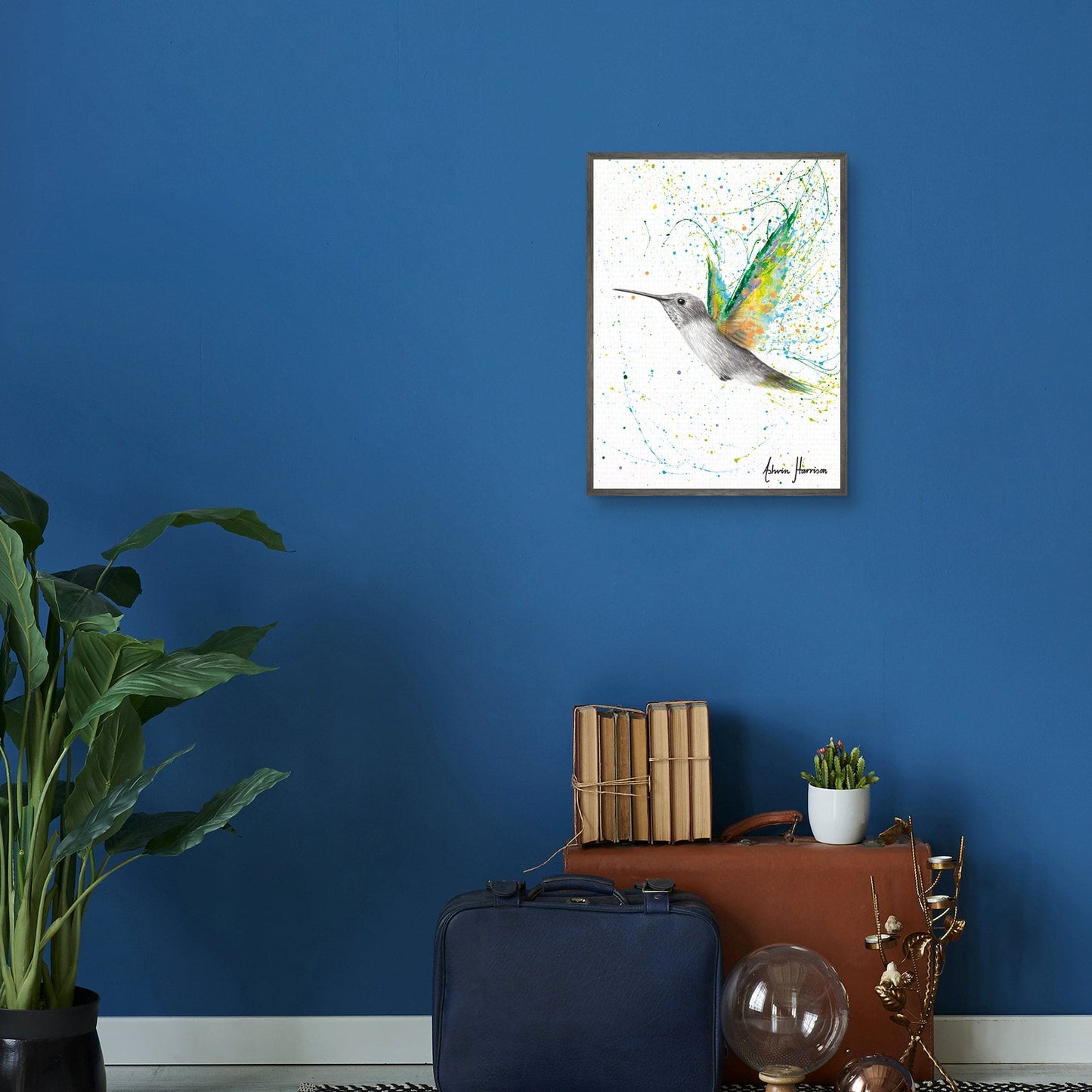 Colibri de verano melocoton - Ashvin Harrison