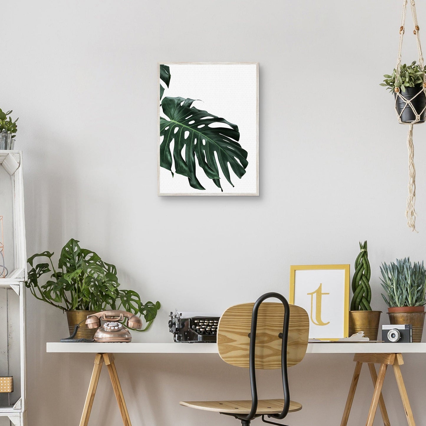 Monstera II - Sisi and Seb