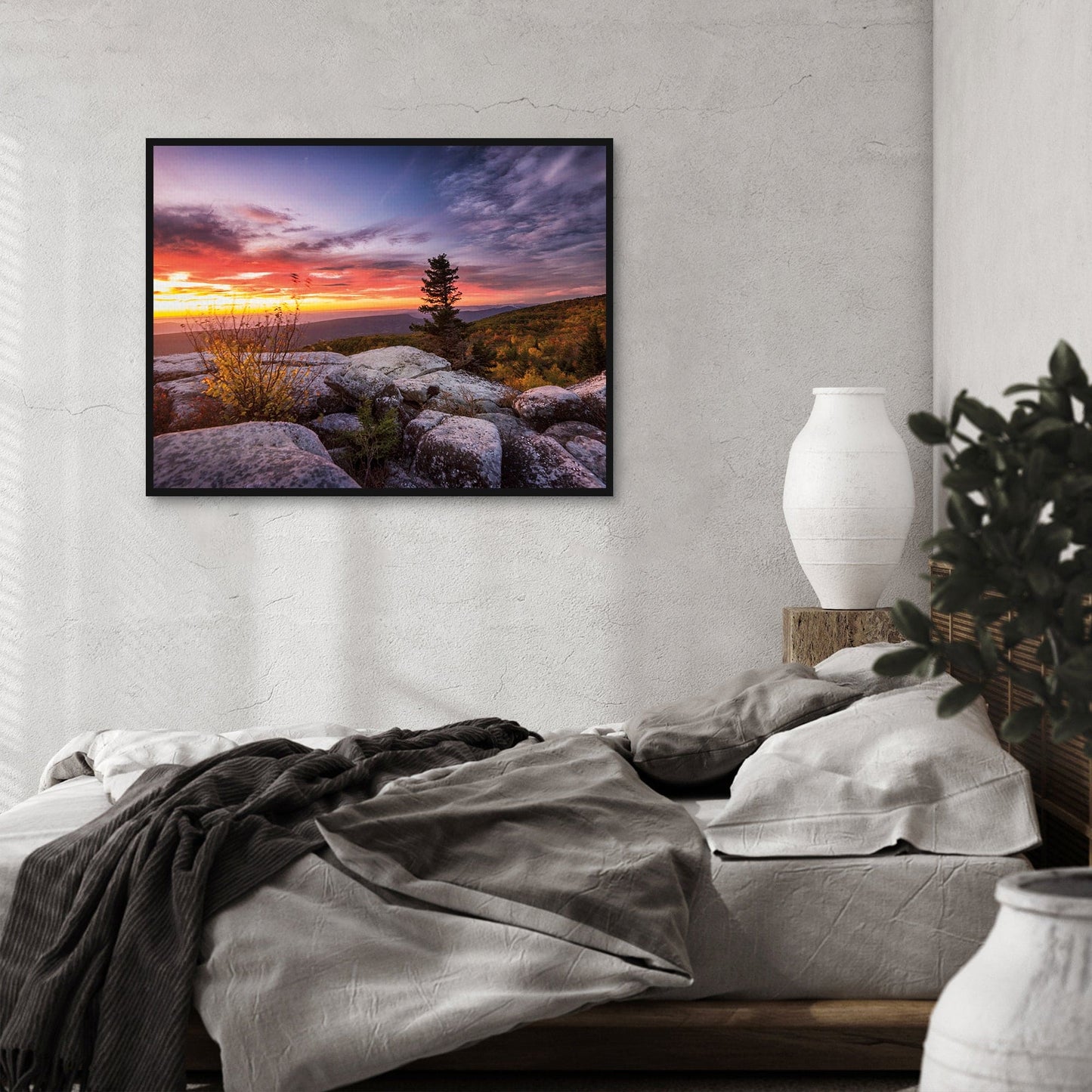 Amanecer en el desierto - Andy Amos