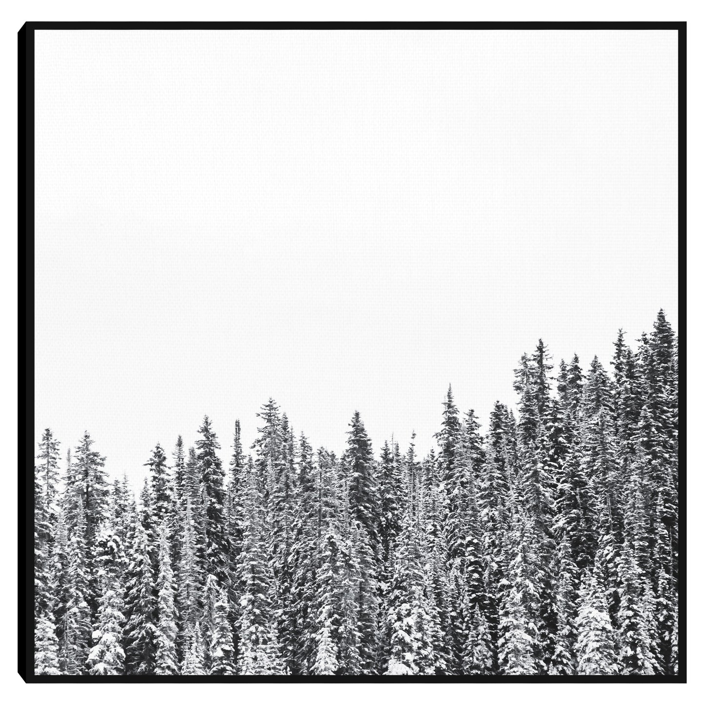 Bosque de invierno - Heather Herzog