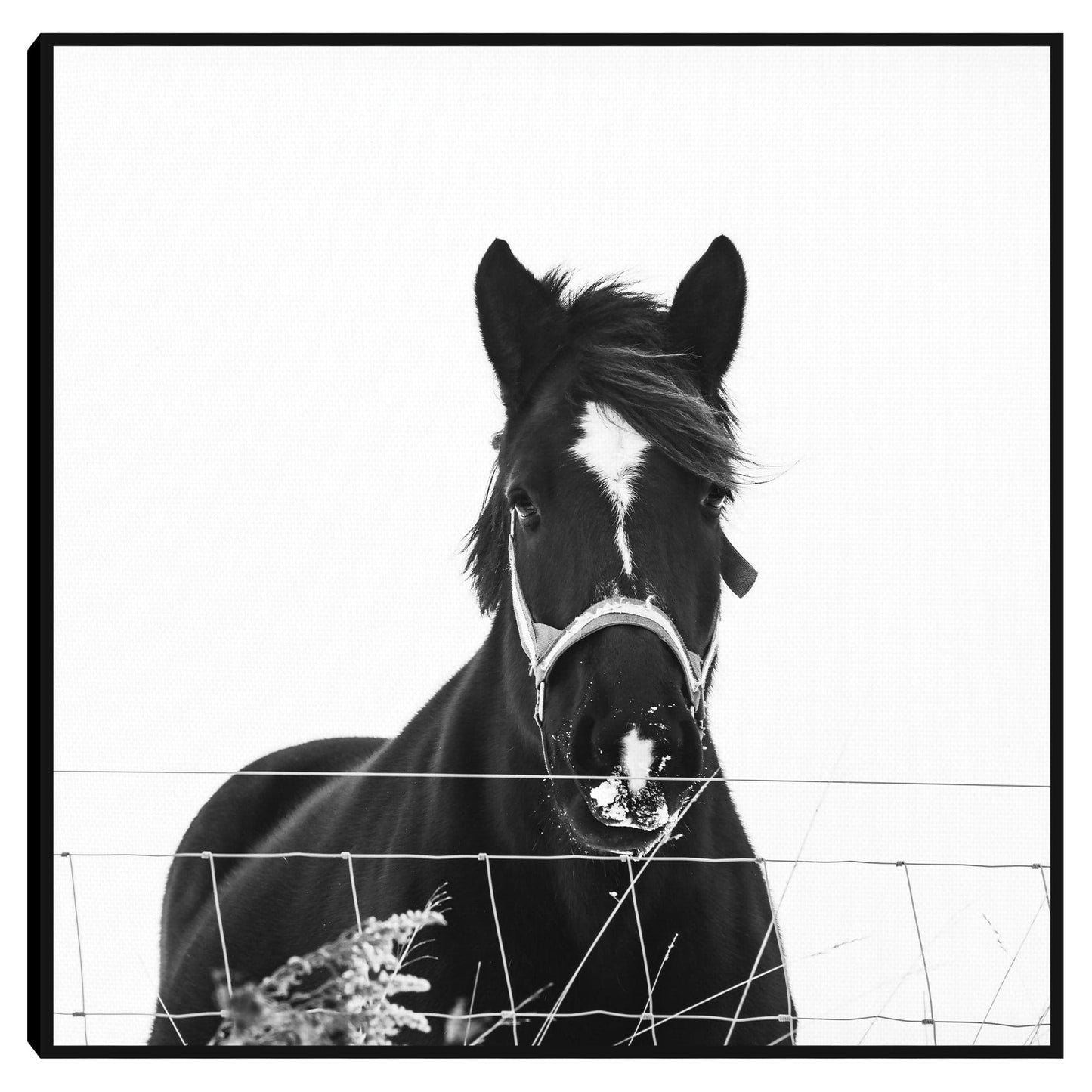 Azabache - Christine Beadnell