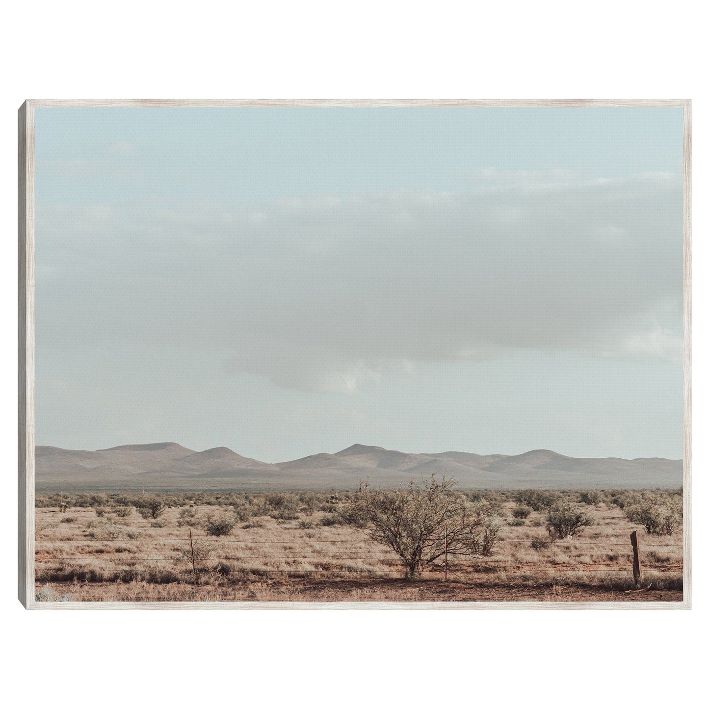 Oeste de Texas - 527 Photo