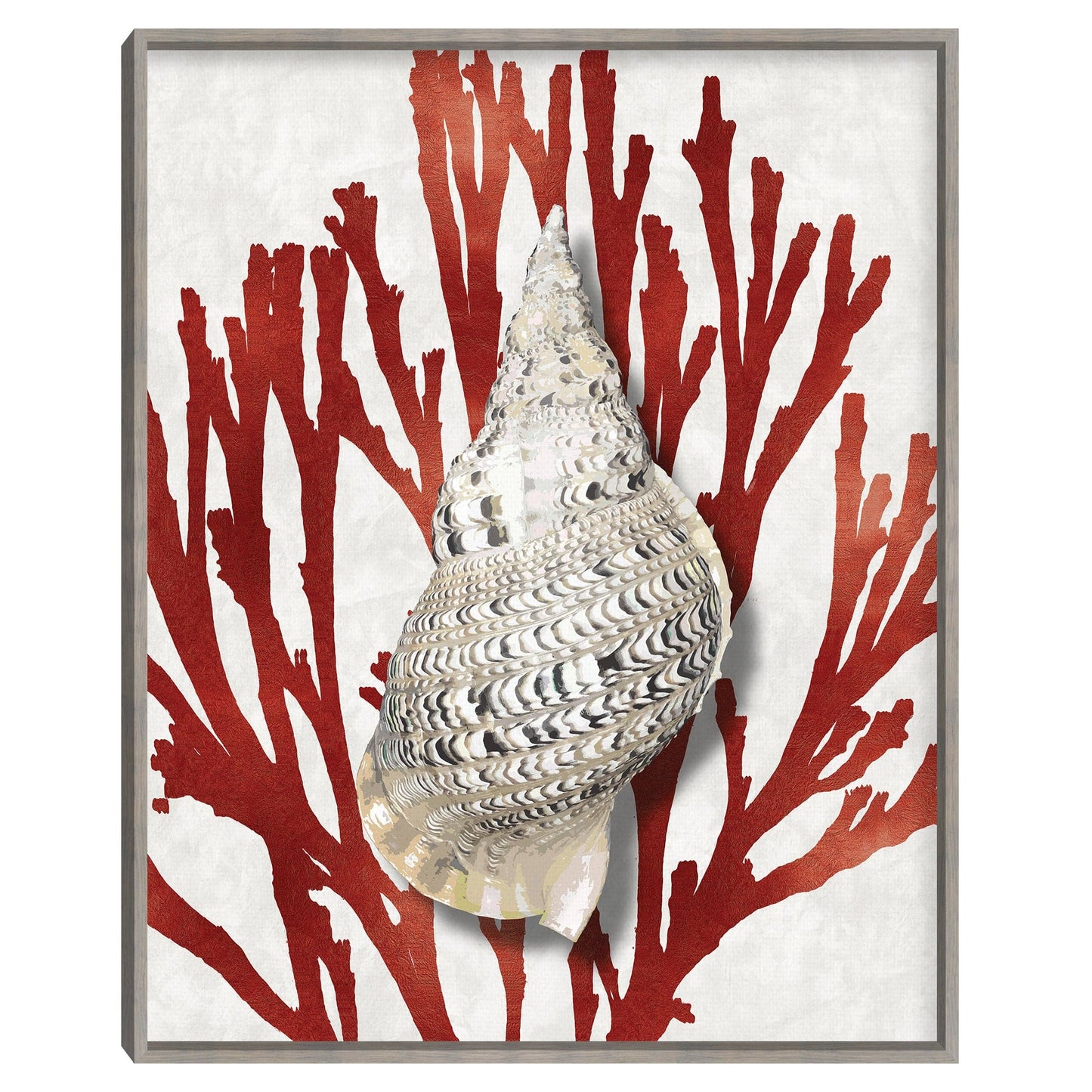 Concha Coral Rojo - Caroline Kelly
