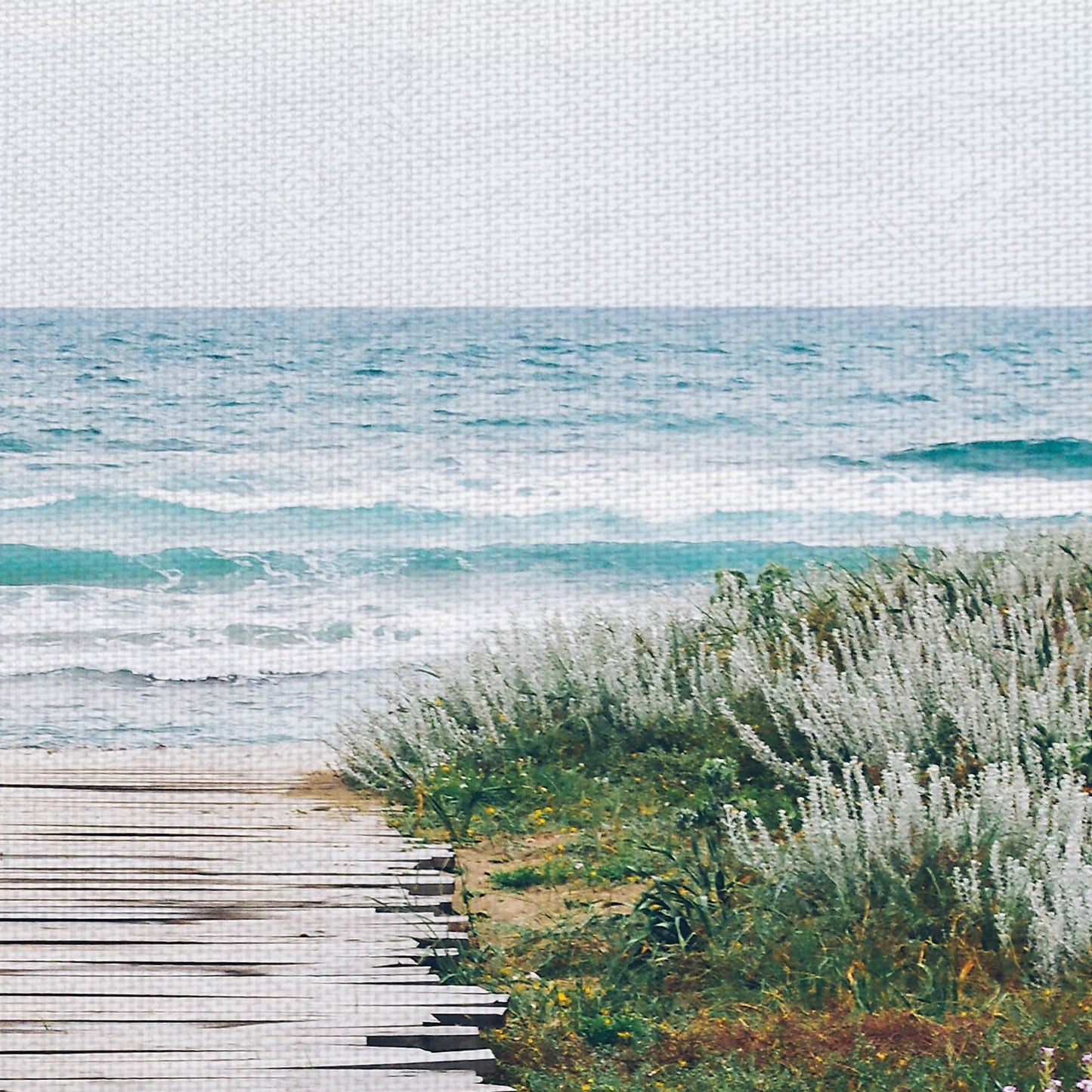 Sendero de playa - Aleksandra Boguslawska