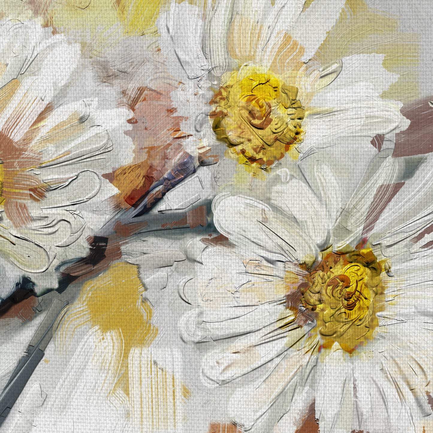 Bellis Perennis - Studio Arts