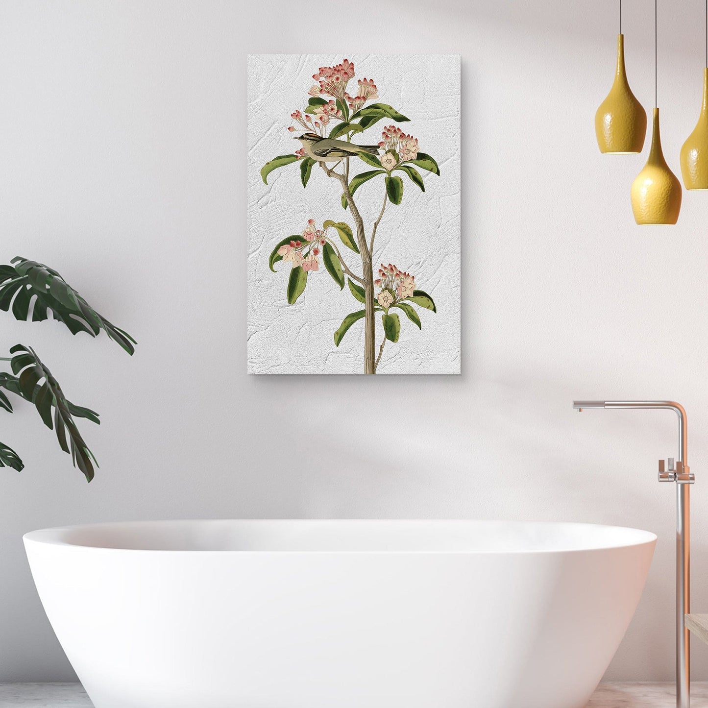 Audubon Curviers Regulus - Design Lab