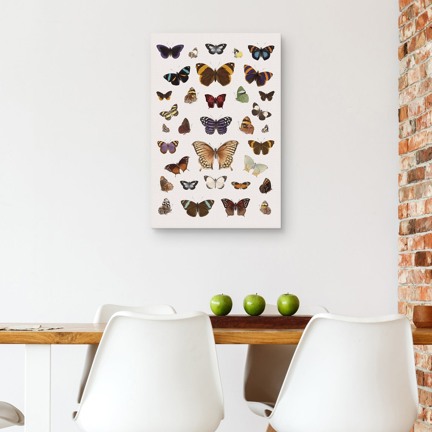 Armonia de Mariposas III - The Drammis Collections