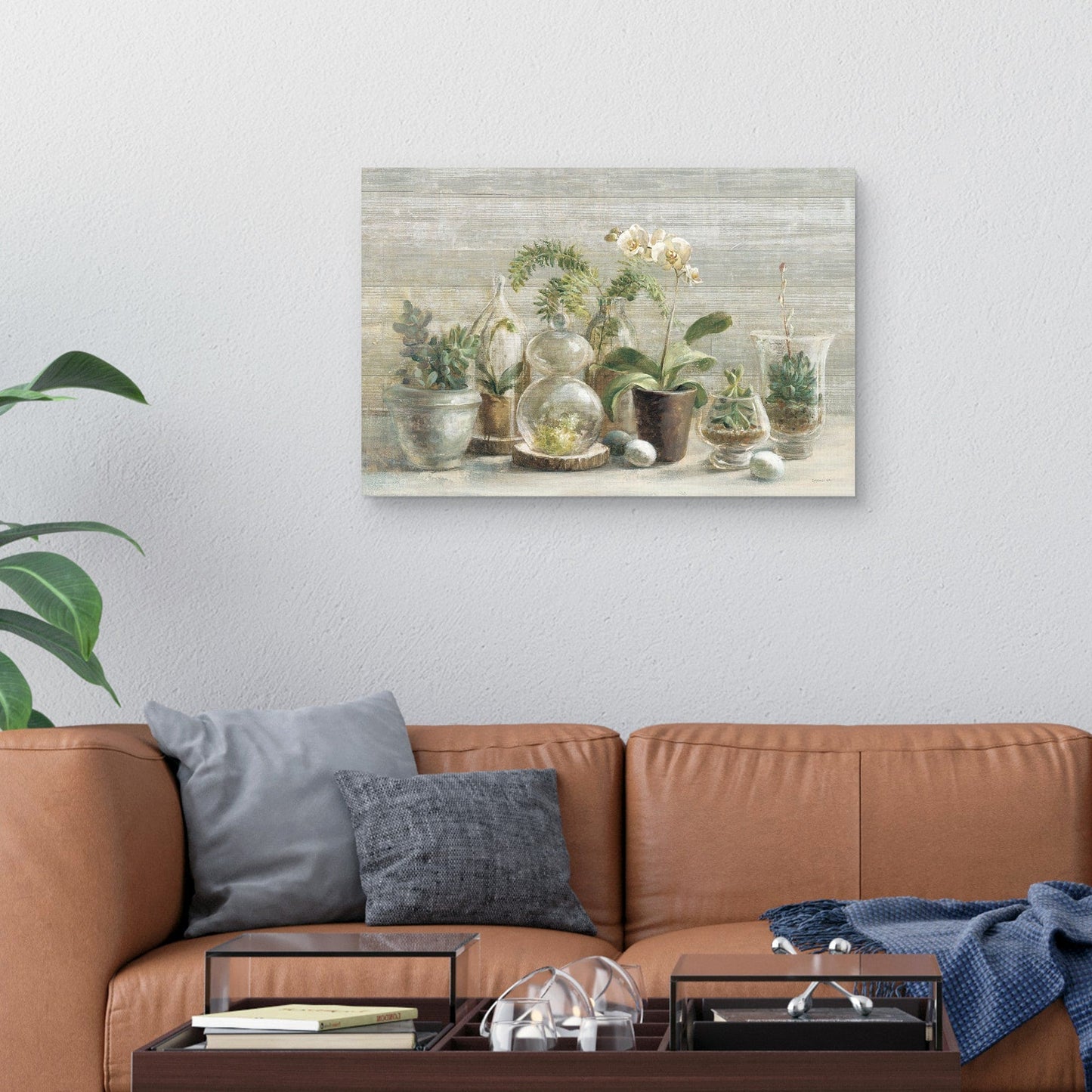 Orquideas de invernadero sobre - Danhui Nai
