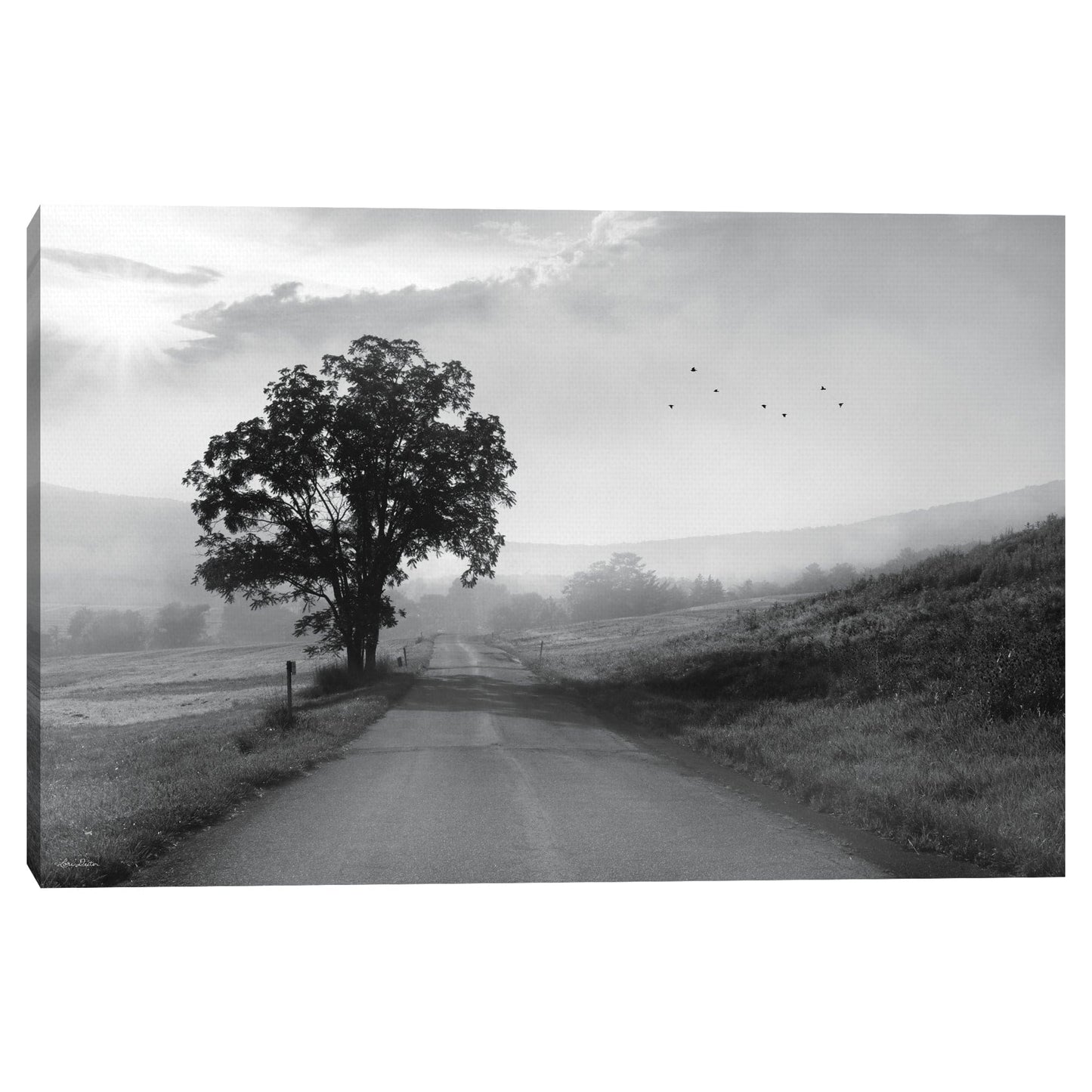 Camino rural brumoso - Lori Deiter