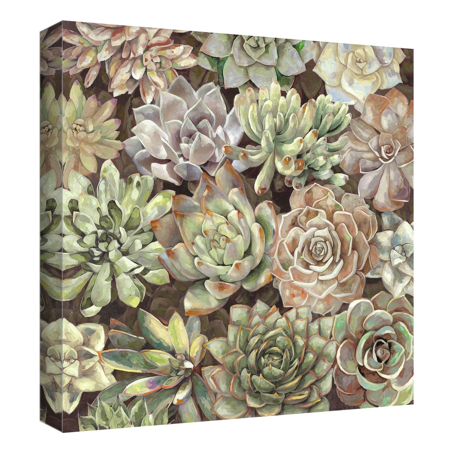 Jardin del desierto suave - Dixon Design Group