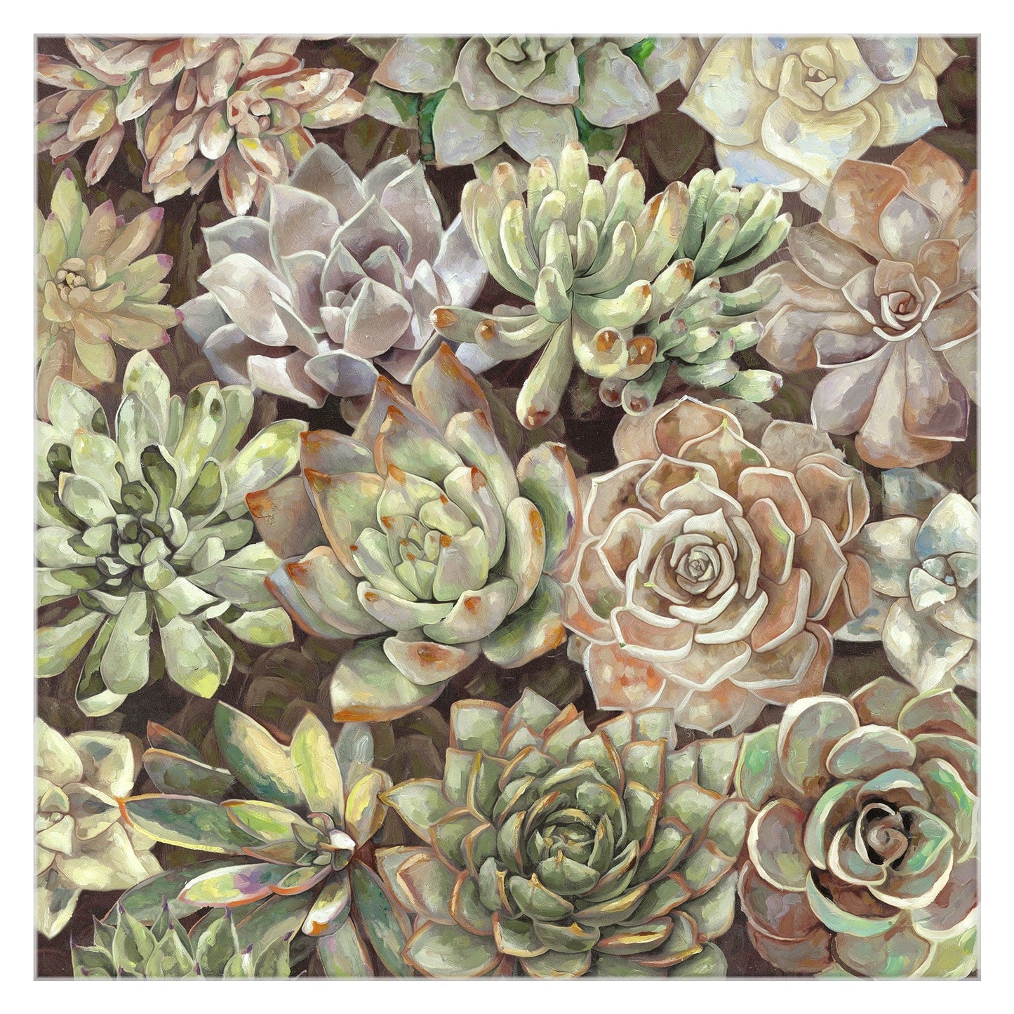 Jardin del desierto suave - Dixon Design Group