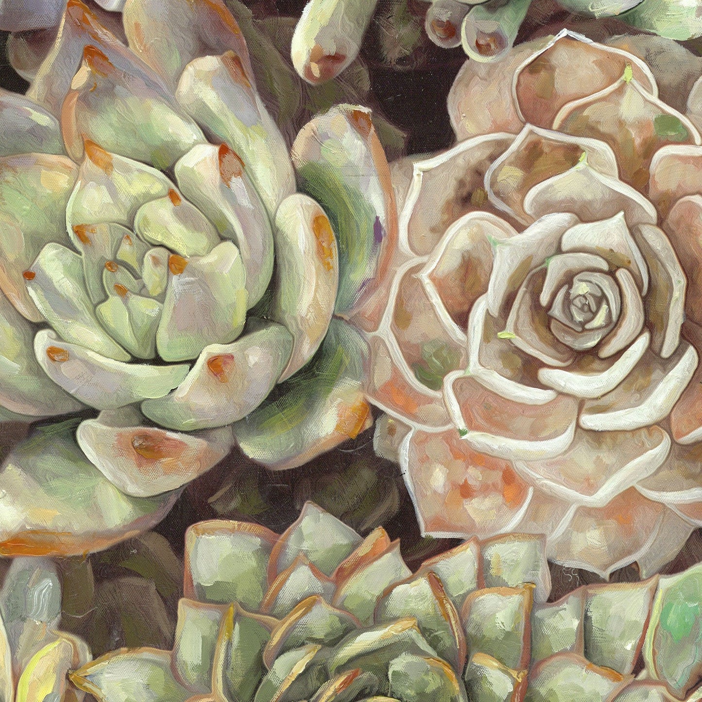 Jardin del desierto suave - Dixon Design Group