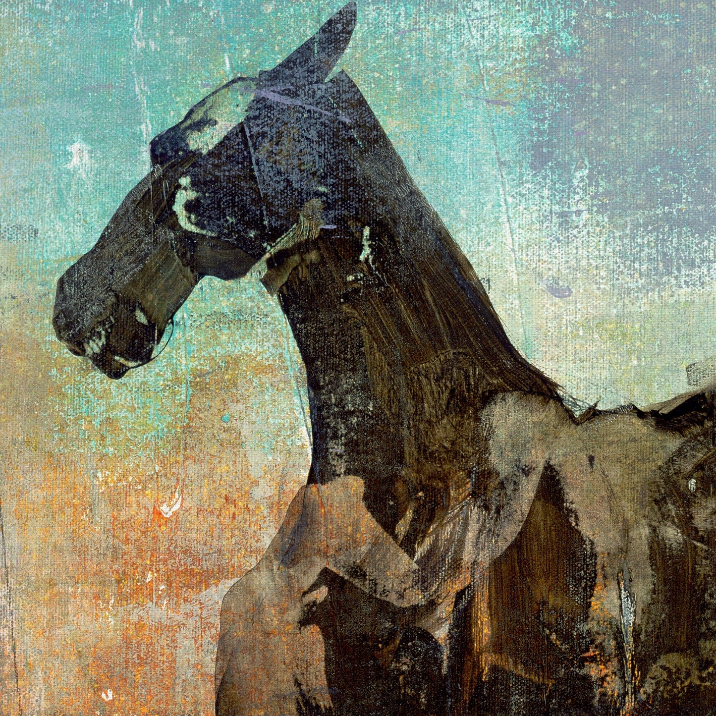 Viajero II - Maeve Harris