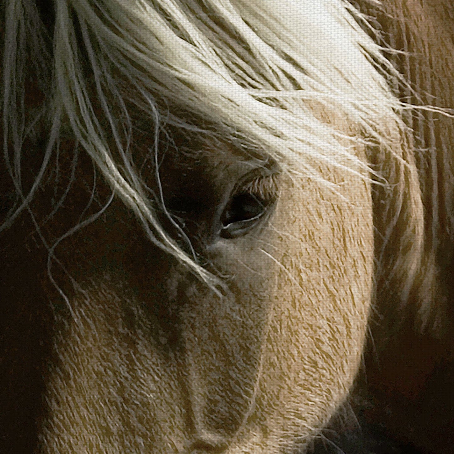 Caballo Espiritu - Tony Stromberg