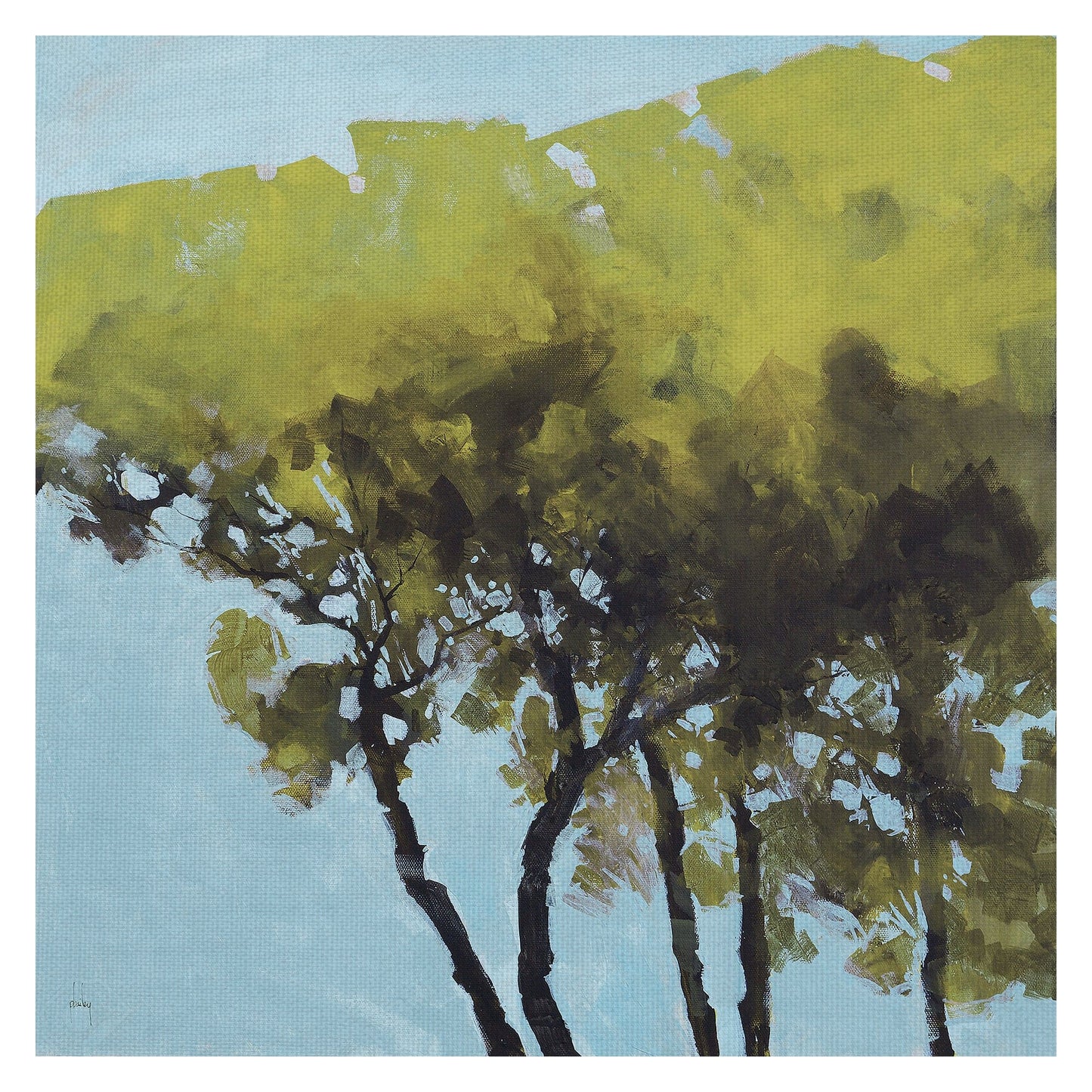 Primavera de los Cinco Arboles - Paul Bailey