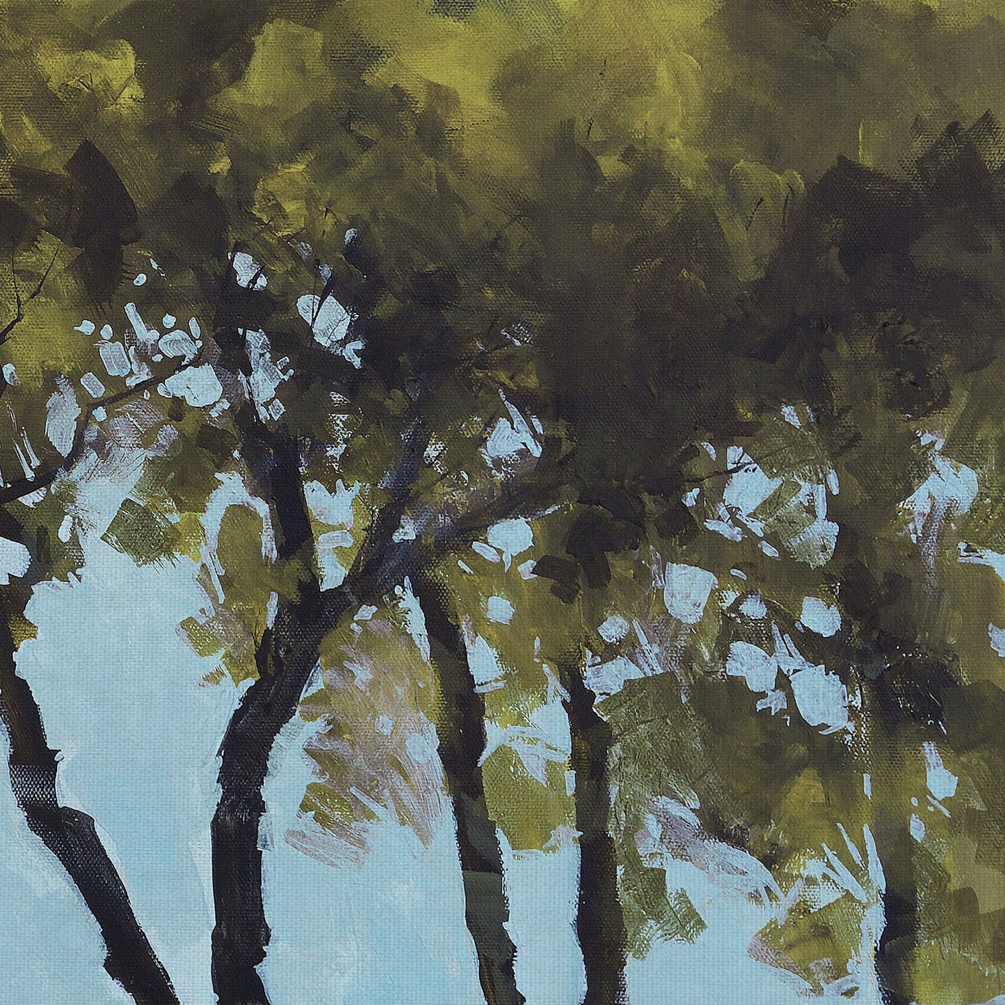 Primavera de los Cinco Arboles - Paul Bailey