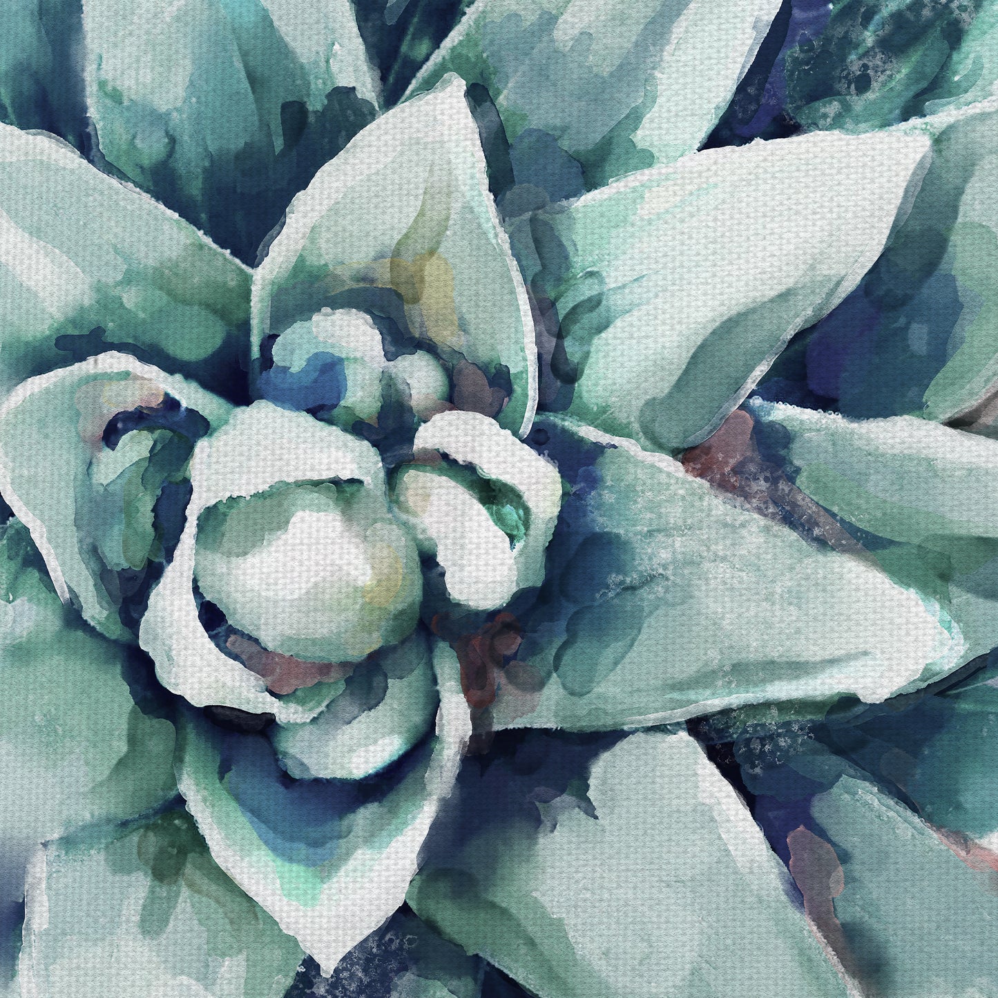 Suculenta acuarela - Studio Arts
