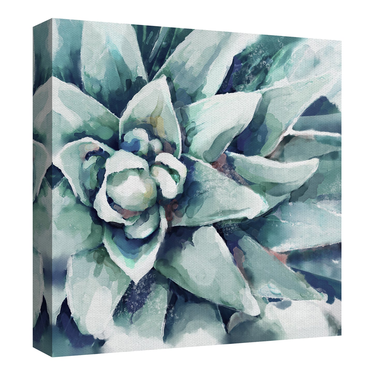 Suculenta acuarela - Studio Arts