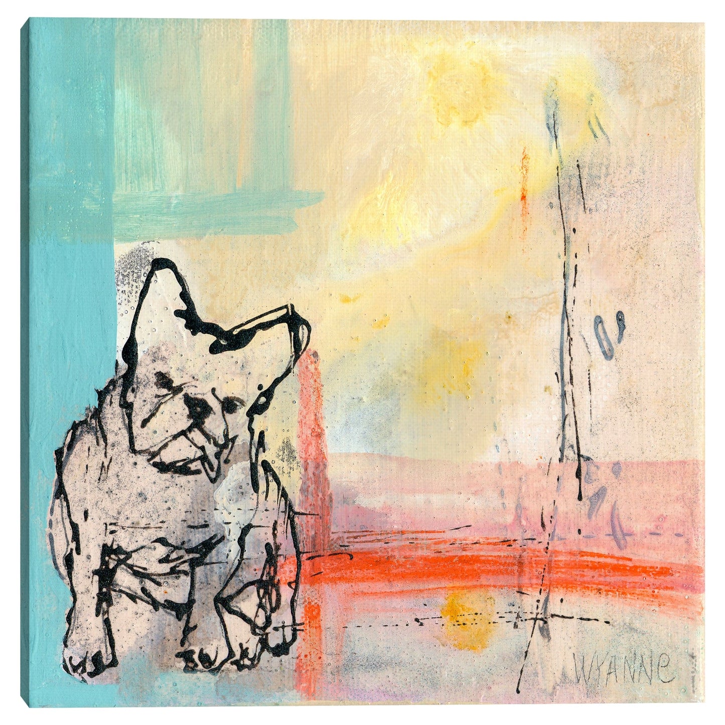 Bulldog frances - Wyanne