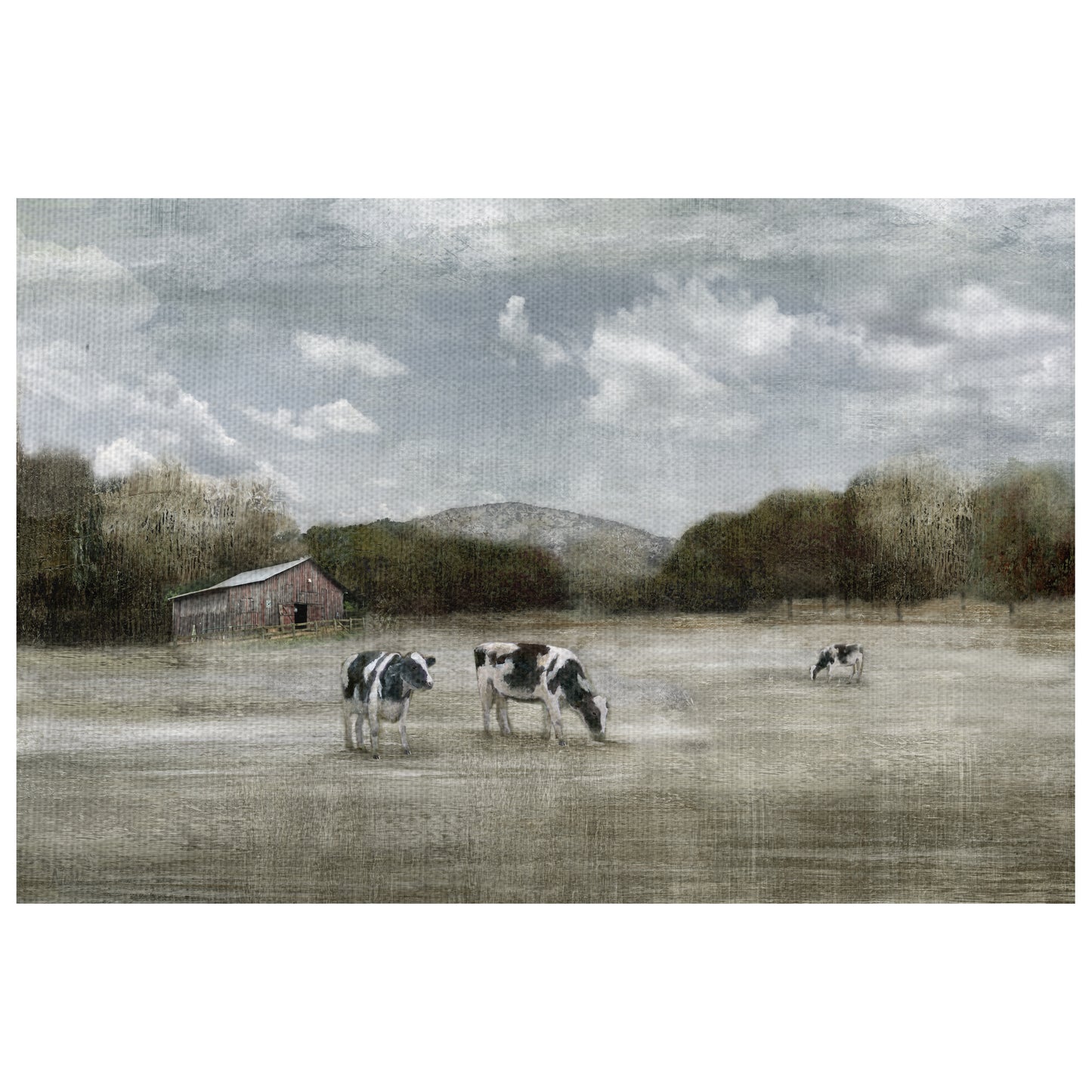 Satisfaccion del pais - Nan