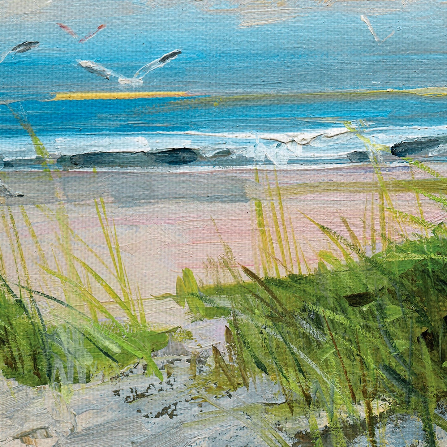 Atrapando el viento - Sally Swatland