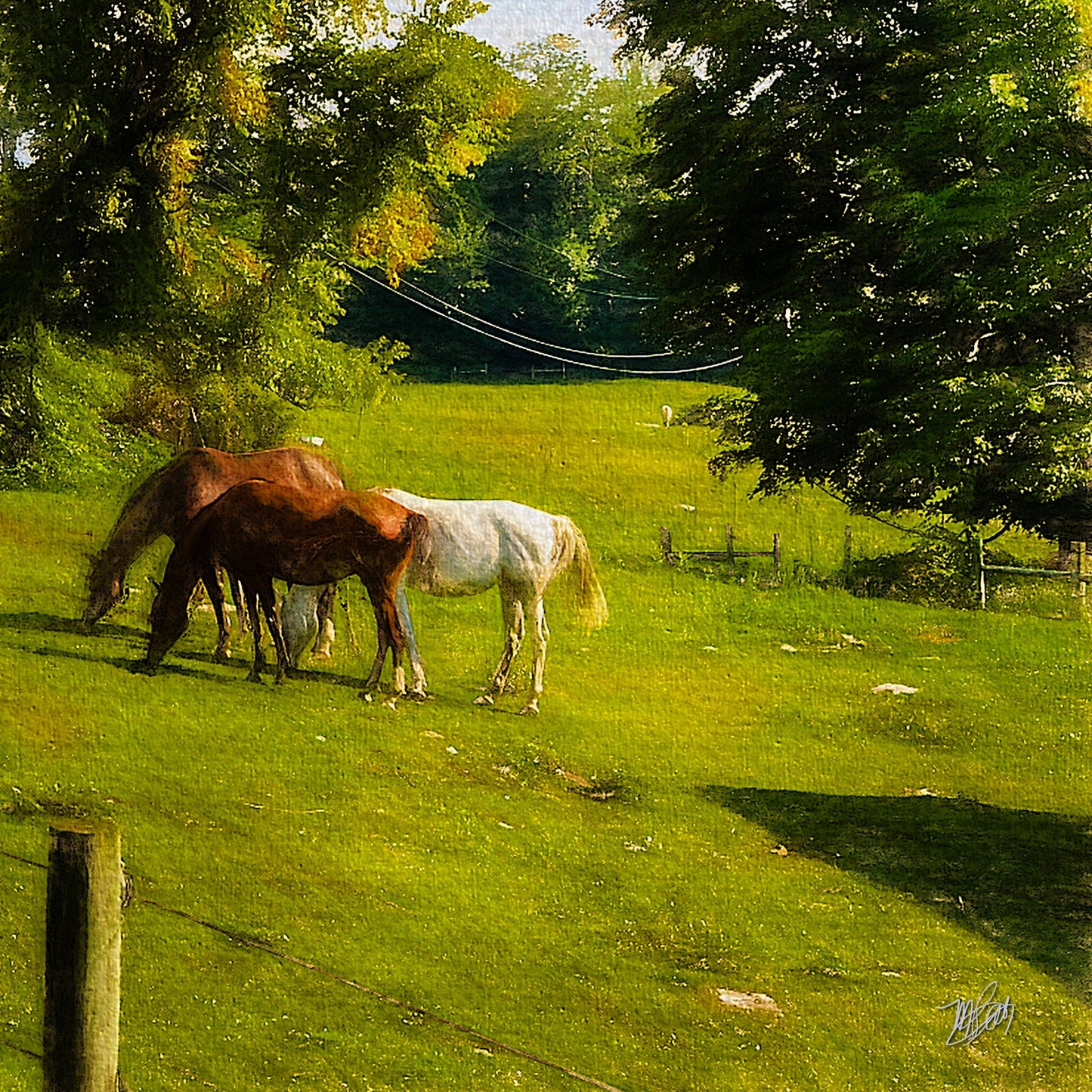 Pastoreo I - Michael Petrizzo