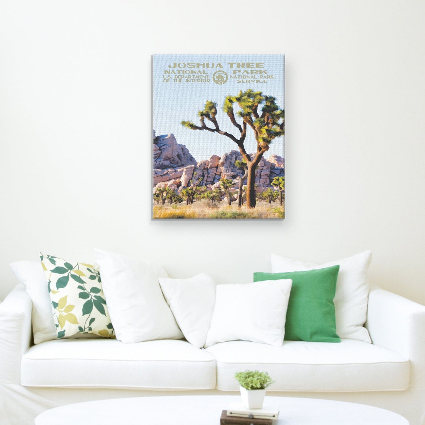 Joshua Tree - Purple Moose Basics