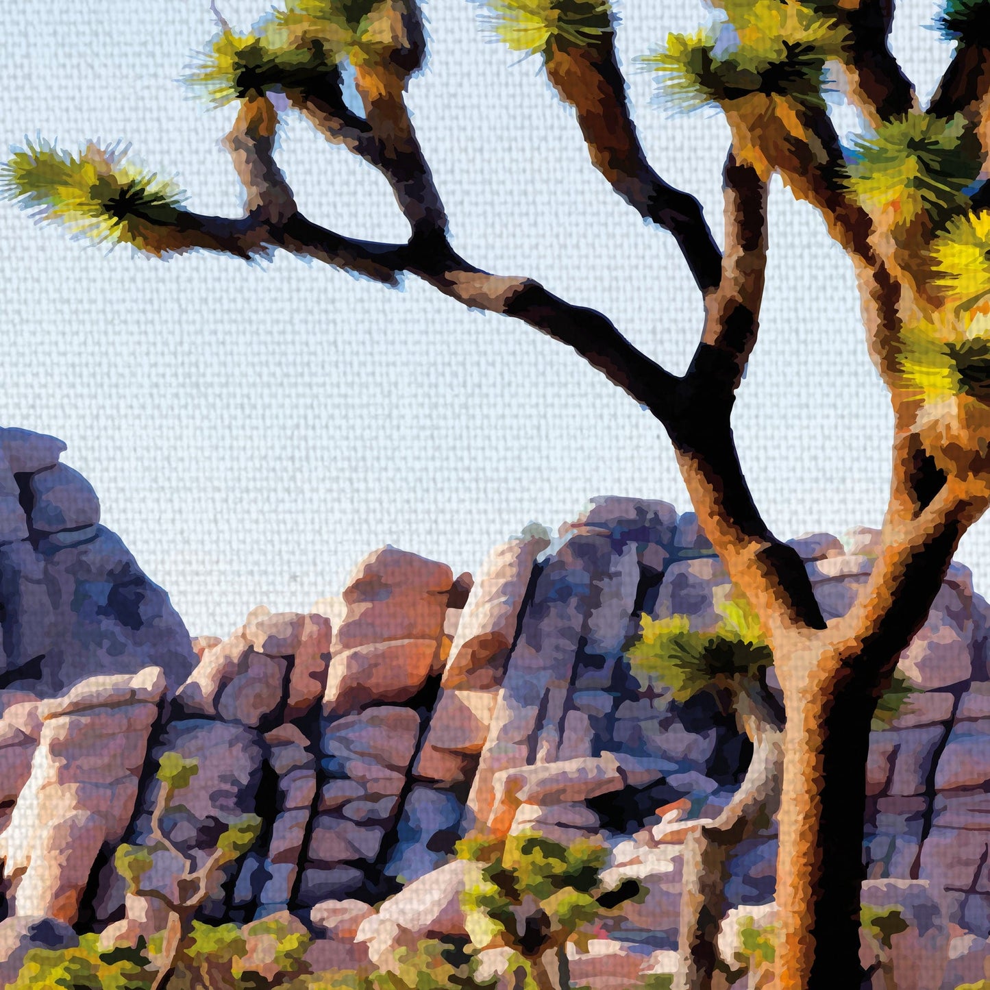 Joshua Tree - Purple Moose Basics