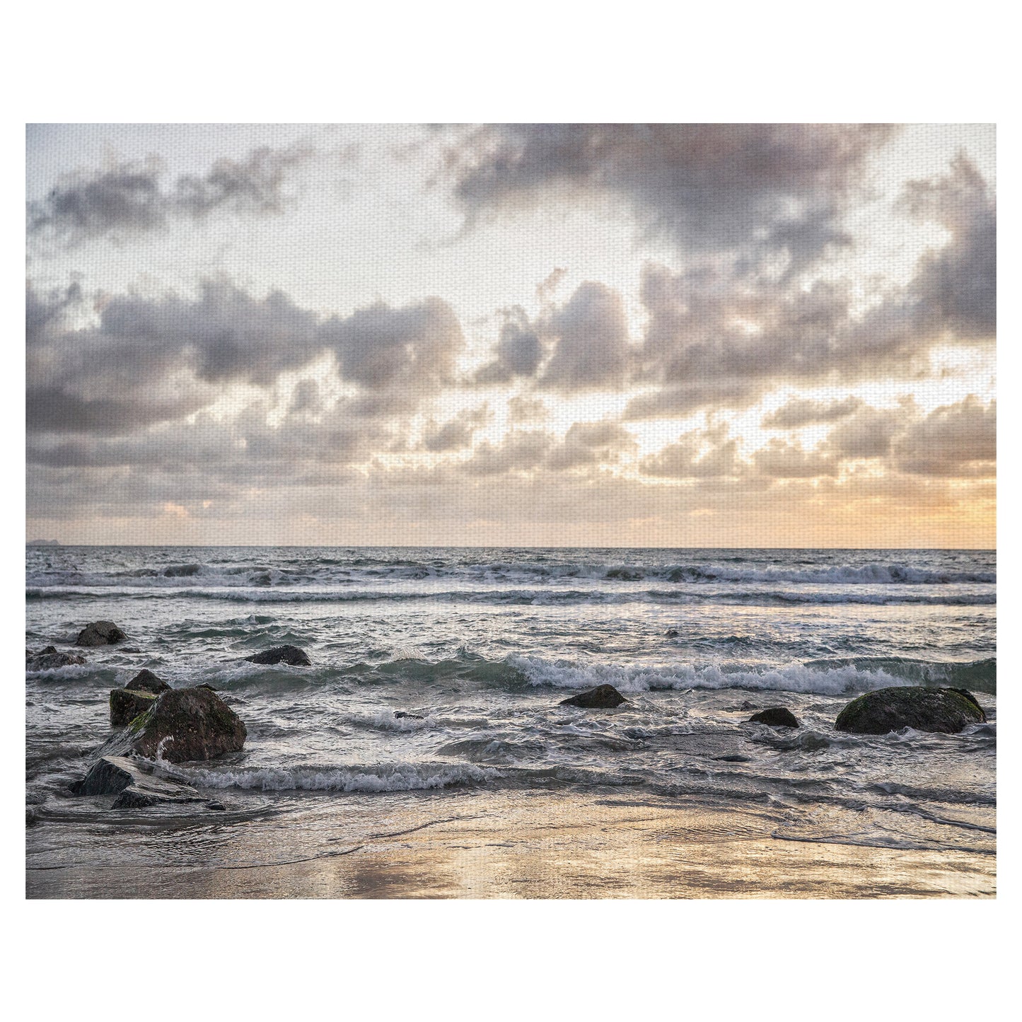 Coronado Ocean - Lillis Werder