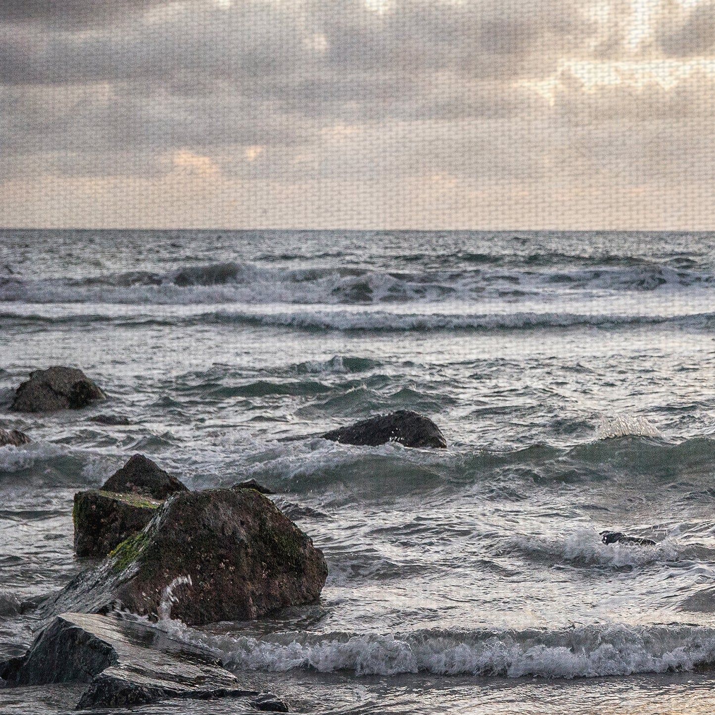 Coronado Ocean - Lillis Werder