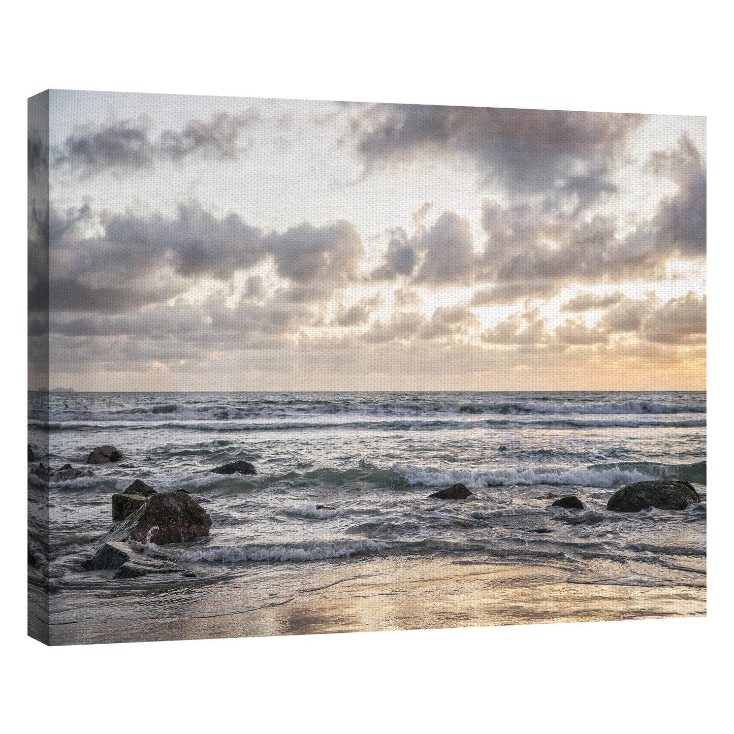 Coronado Ocean - Lillis Werder