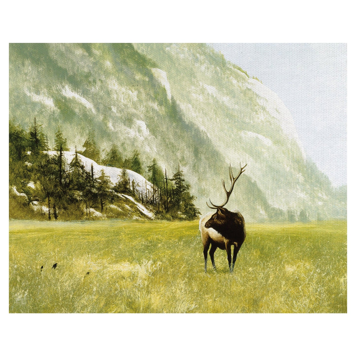 Llamada matutina - Miguel Dominguez