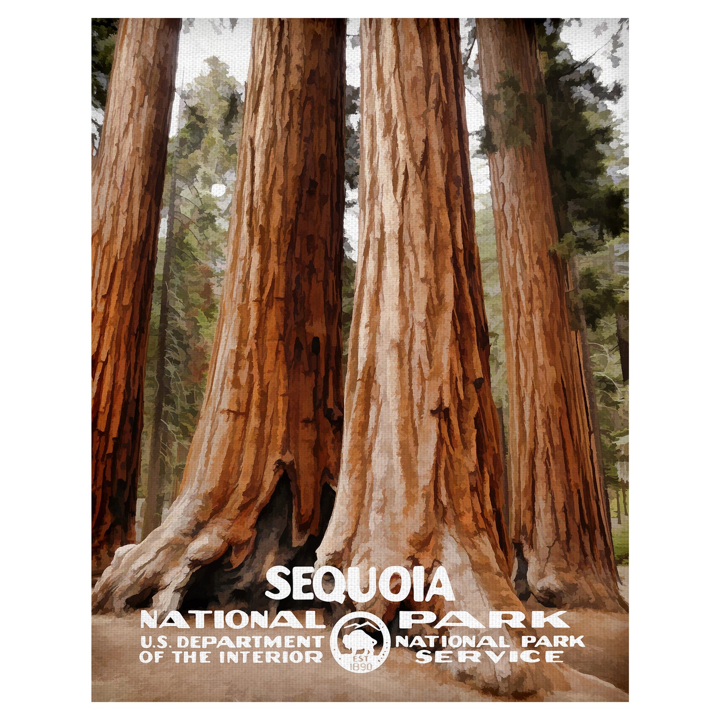 Secuoya - Purple Moose Basics