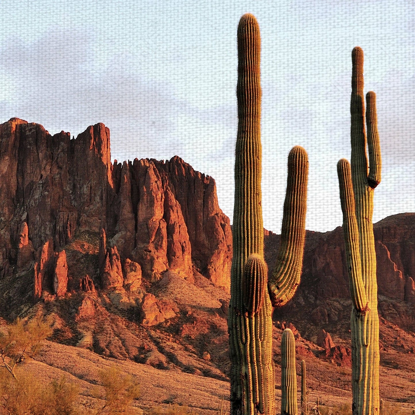 Paisaje desertico ambar - Belle Maison