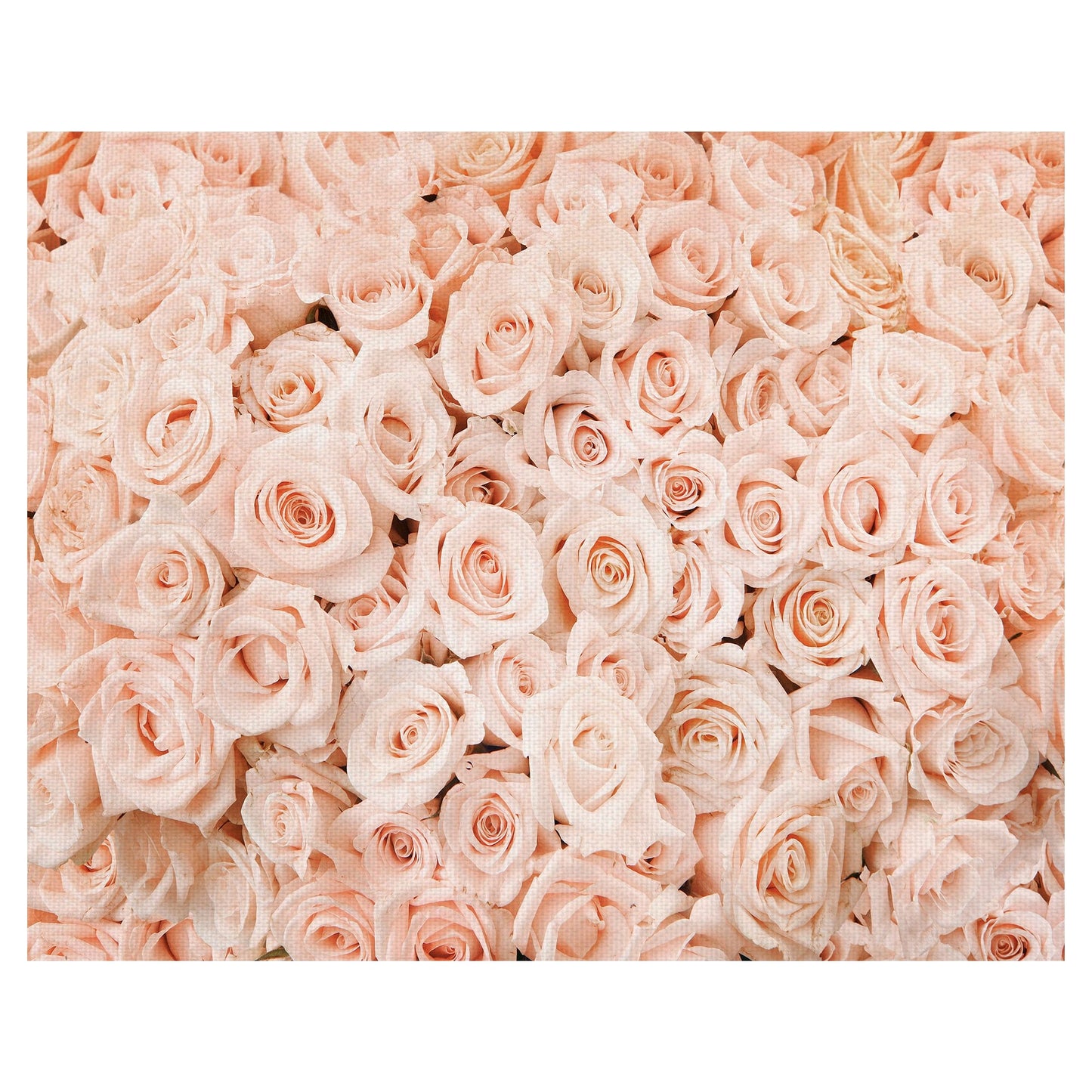 Lecho de Rosas - Belle Maison