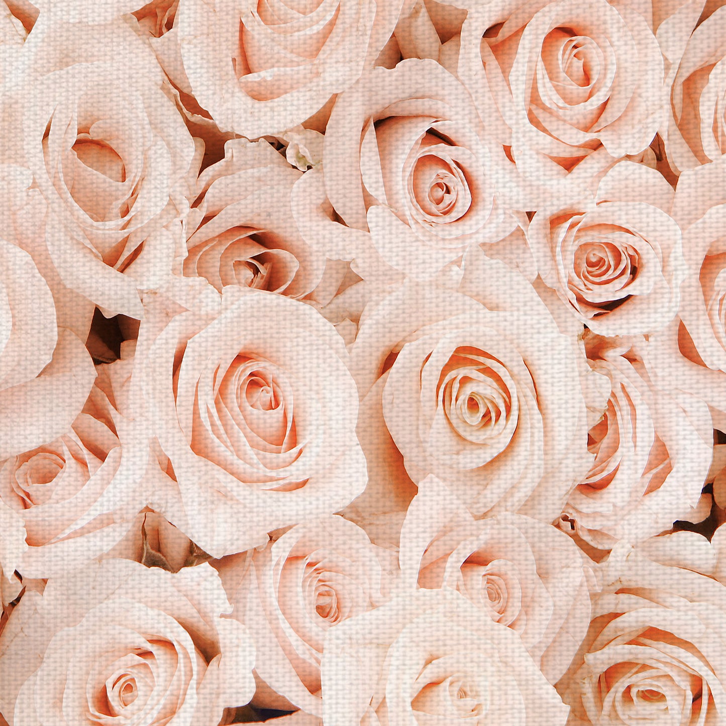 Lecho de Rosas - Belle Maison